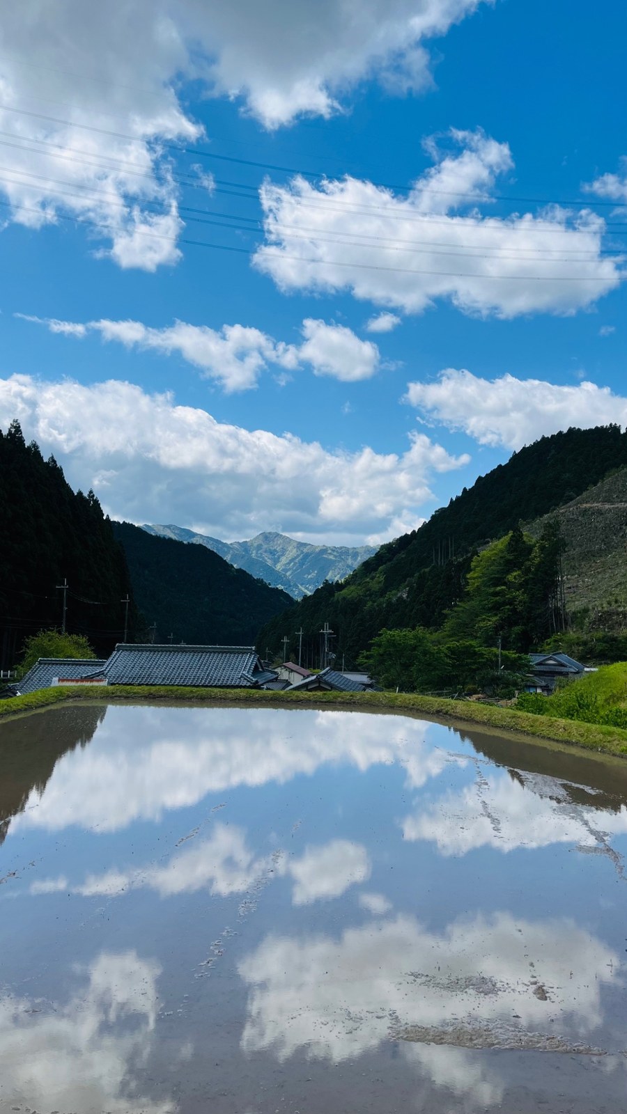 自然豊かな越知谷の風景